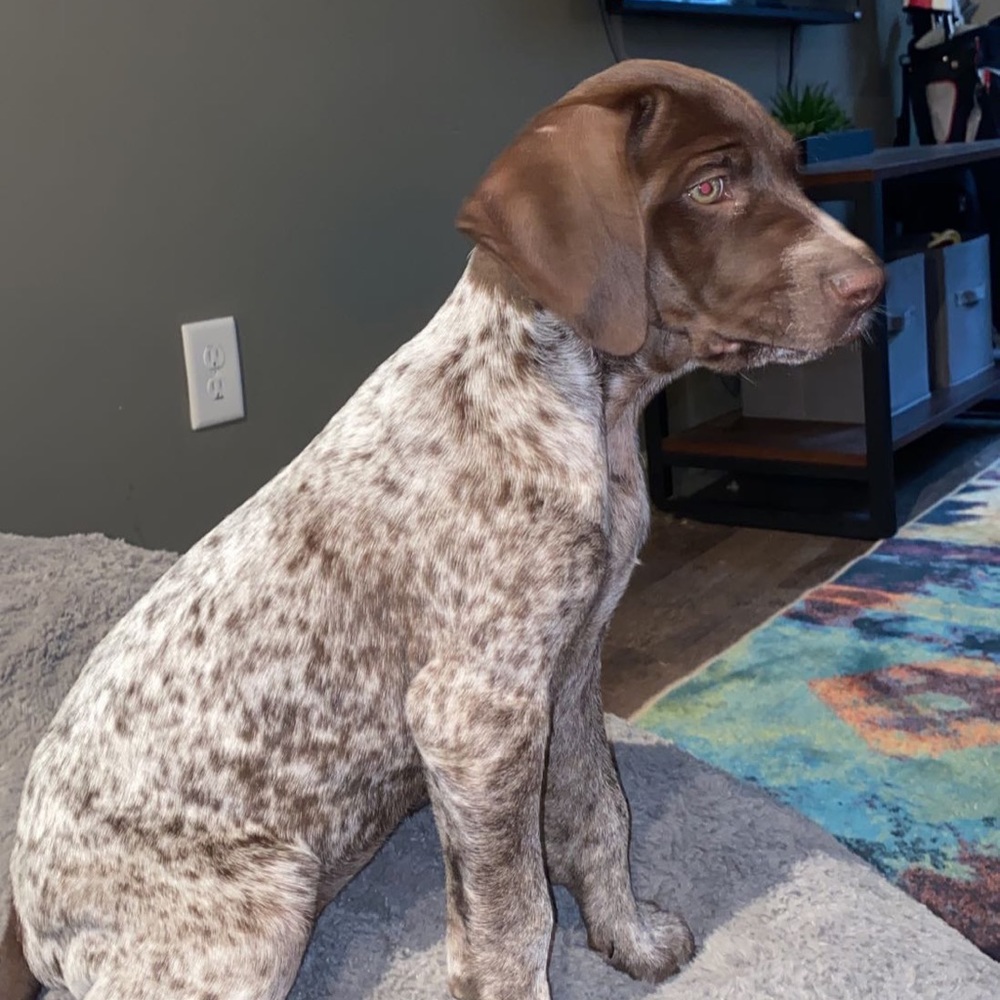 Meet your Posher, Travis